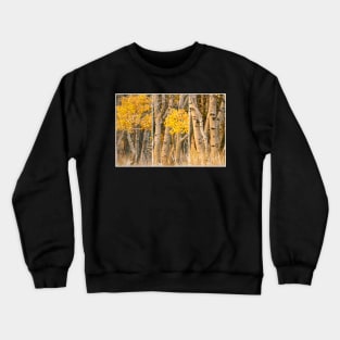 Aspens Trio Crewneck Sweatshirt